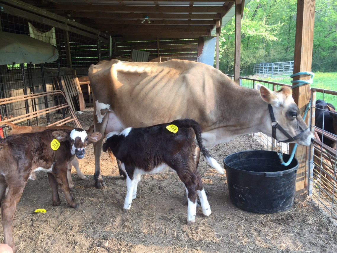 Chrome and 3 Mar 2017